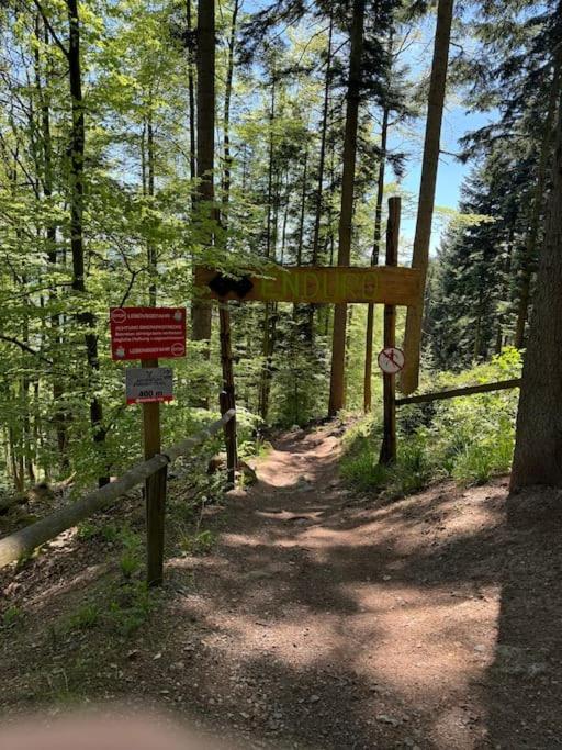 Bollenhut 1 Lejlighed Bad Wildbad Eksteriør billede