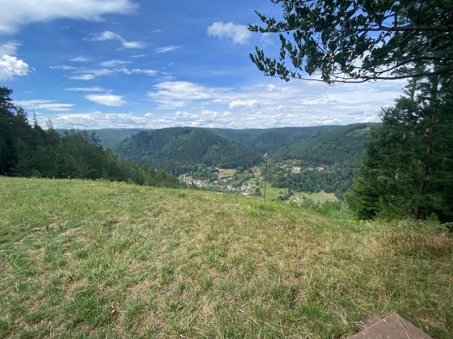 Bollenhut 1 Lejlighed Bad Wildbad Eksteriør billede