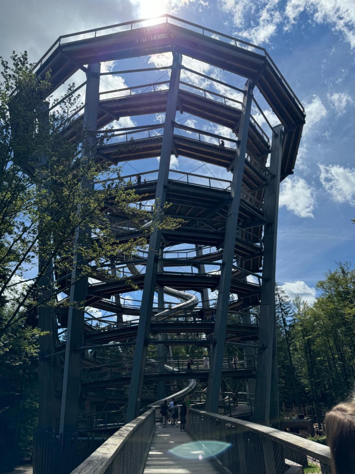 Bollenhut 1 Lejlighed Bad Wildbad Eksteriør billede