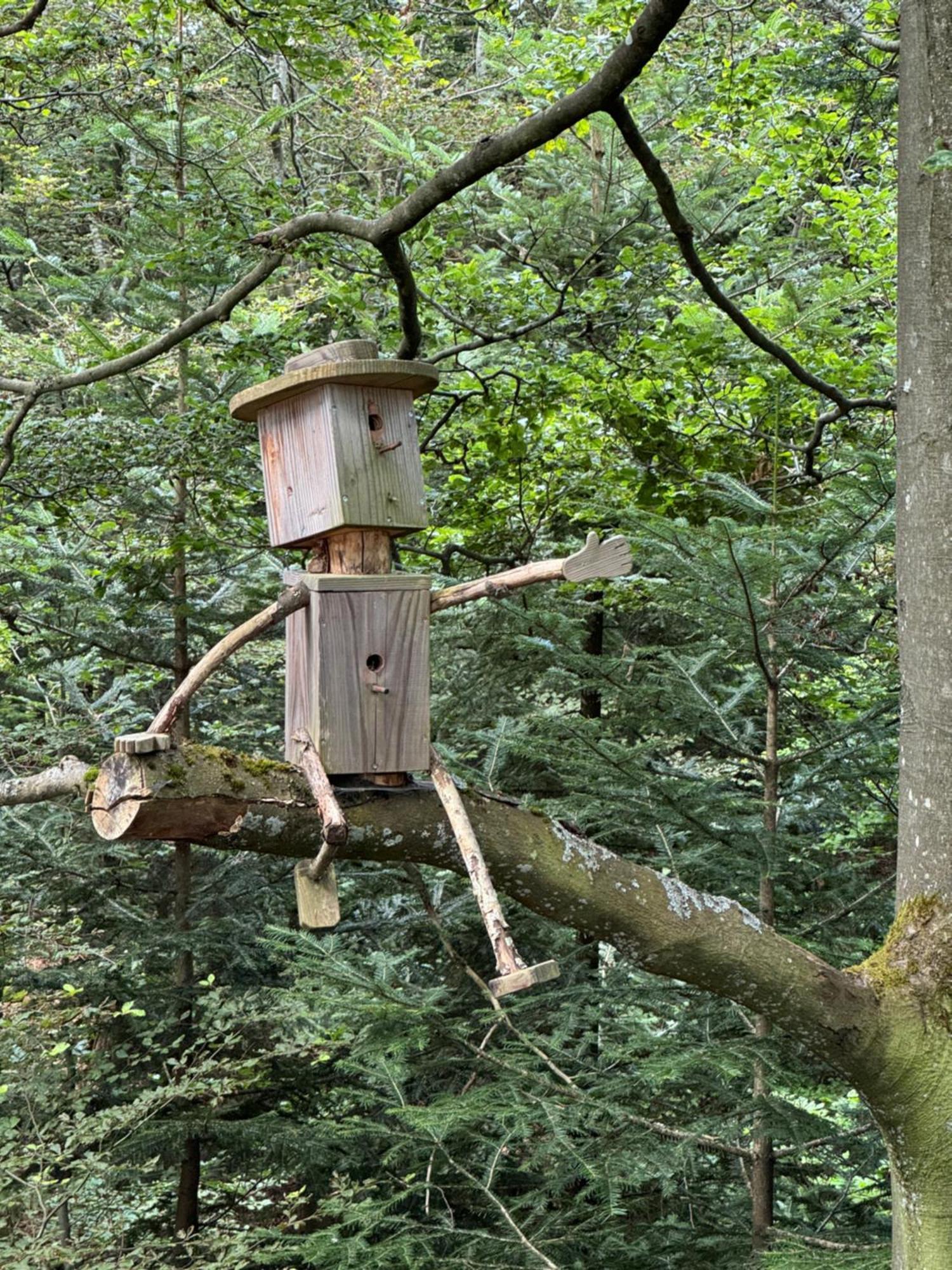 Bollenhut 1 Lejlighed Bad Wildbad Eksteriør billede
